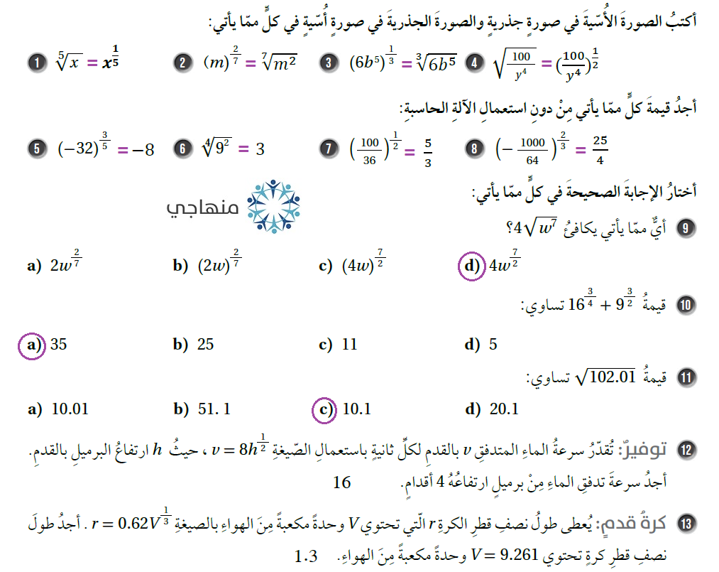 الأسس النسبية والجذور